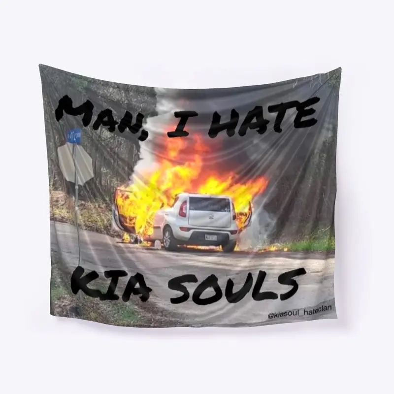 Kia Soul Tapestry